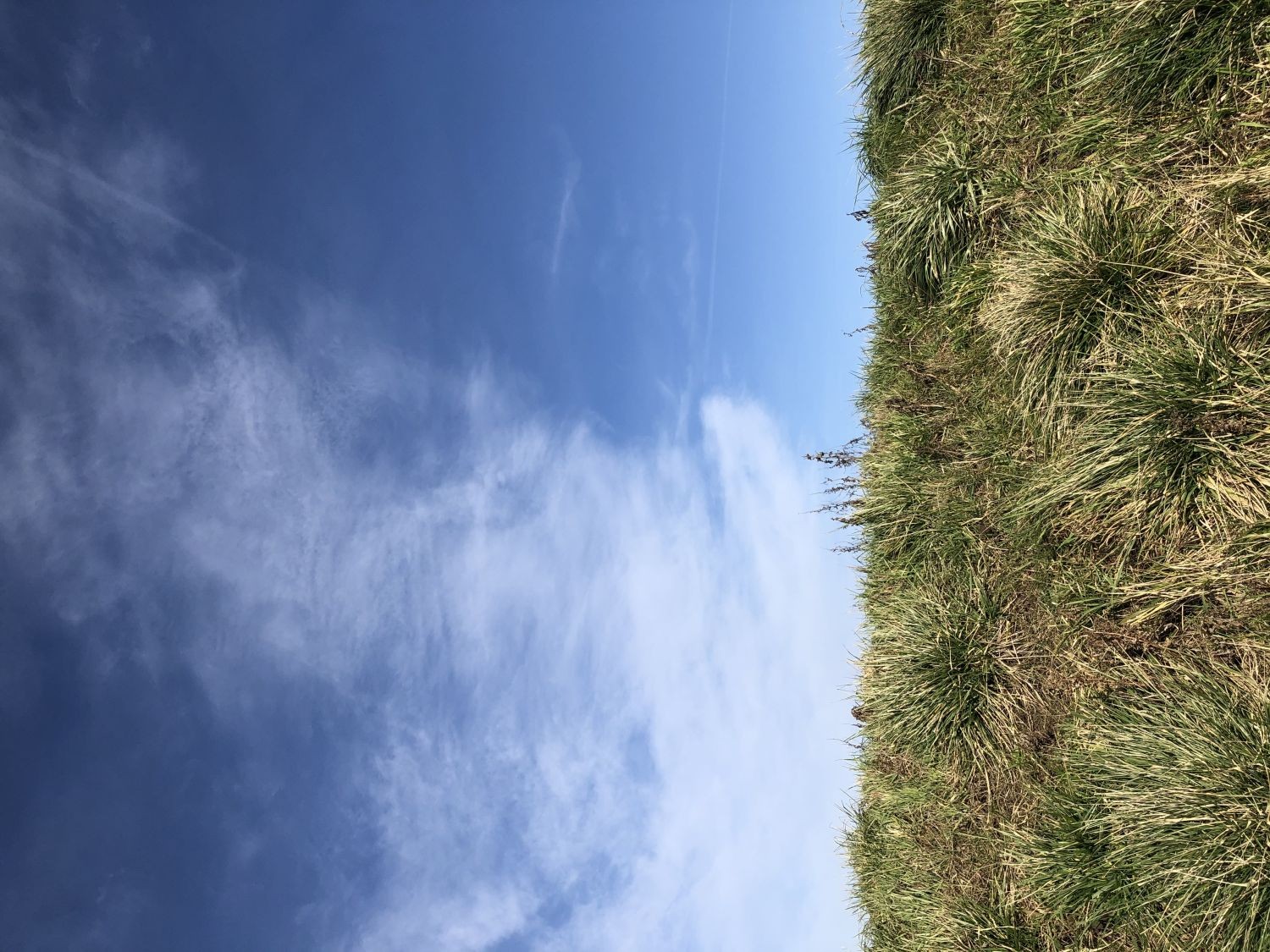 Blauer Himmel überm Deich