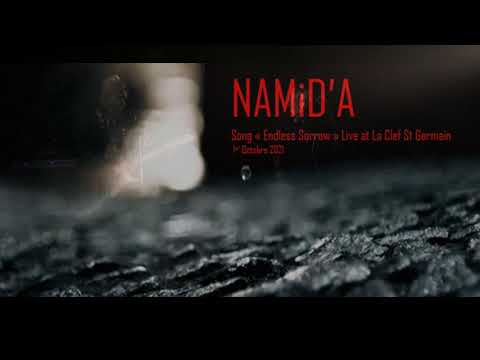 NAMiD&#039;A : Endless Sorrow (Live)