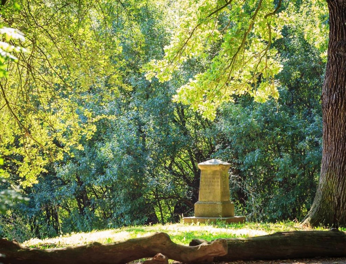 „Blütezeit“ Geschichte(n) aus der Gartenregion Hannover