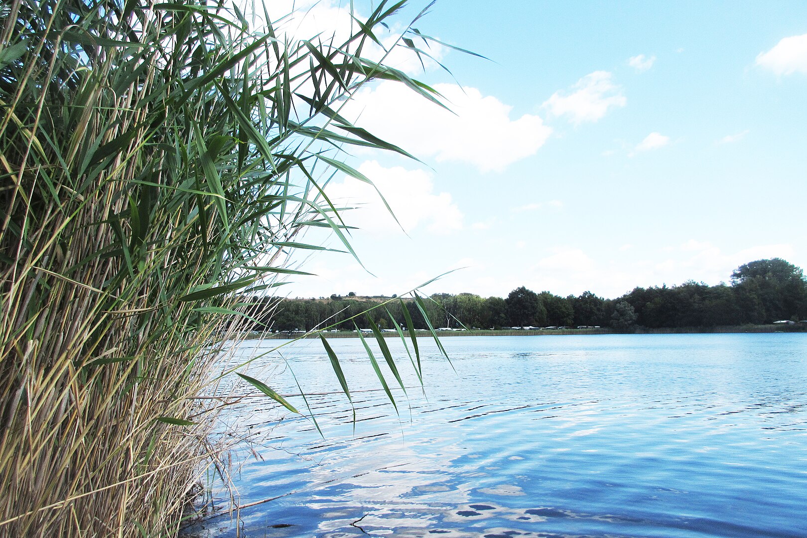 Sonnensee Hannover