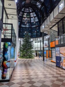 Galerie Luise mit Weihnachtsbaum