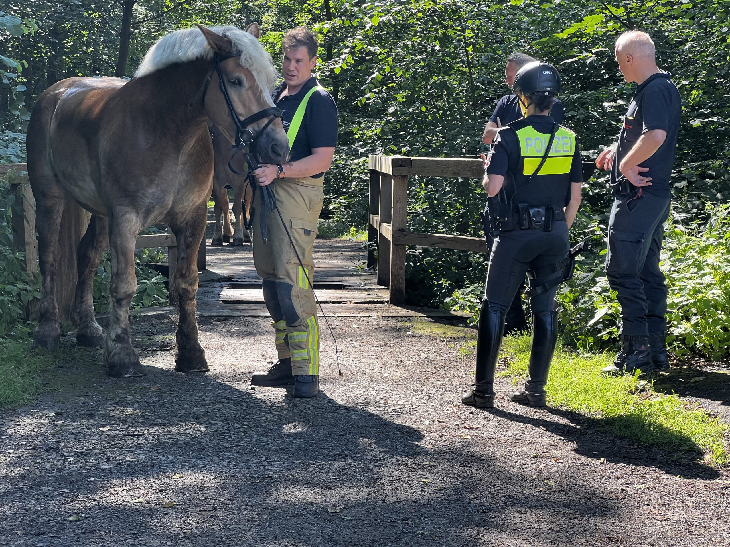 Gerettetes Pferd der Polizeireiterstaffel