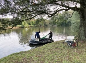 Abfischen im Märchensee - Maßnahme zur Verbesserung der Wasserqualität