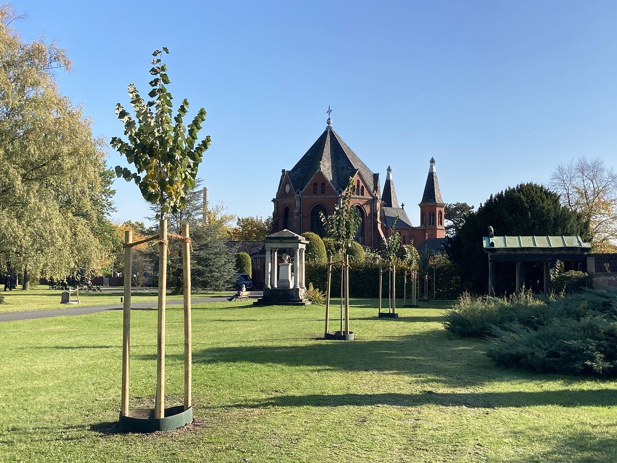 Nachpflanzung einer Allee auf dem Stadtfriedhof Stöcken