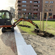 Neue Bäume für Kronsberg-Süd