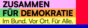 #DuEntscheidest - Gemeinsam Demokratie und Menschenrechte verteidigen